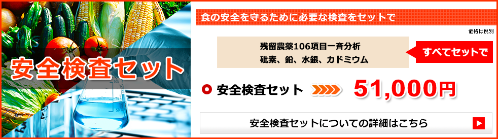安全検査セット